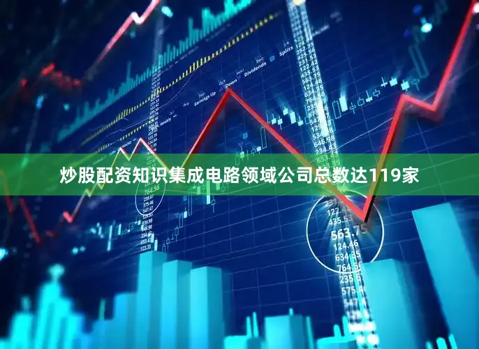 炒股配资知识集成电路领域公司总数达119家