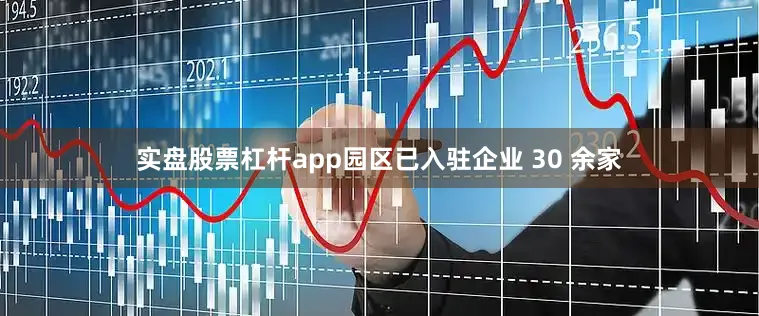 实盘股票杠杆app园区已入驻企业 30 余家