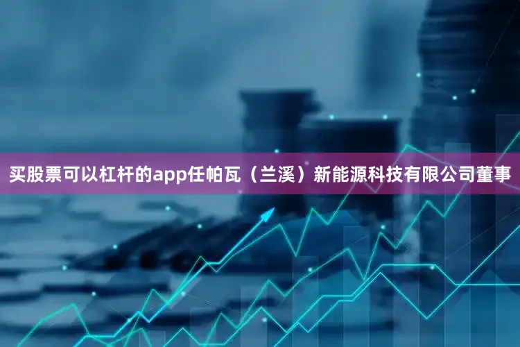 买股票可以杠杆的app任帕瓦（兰溪）新能源科技有限公司董事