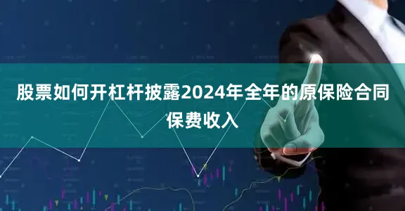 股票如何开杠杆披露2024年全年的原保险合同保费收入