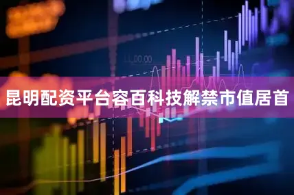 昆明配资平台容百科技解禁市值居首
