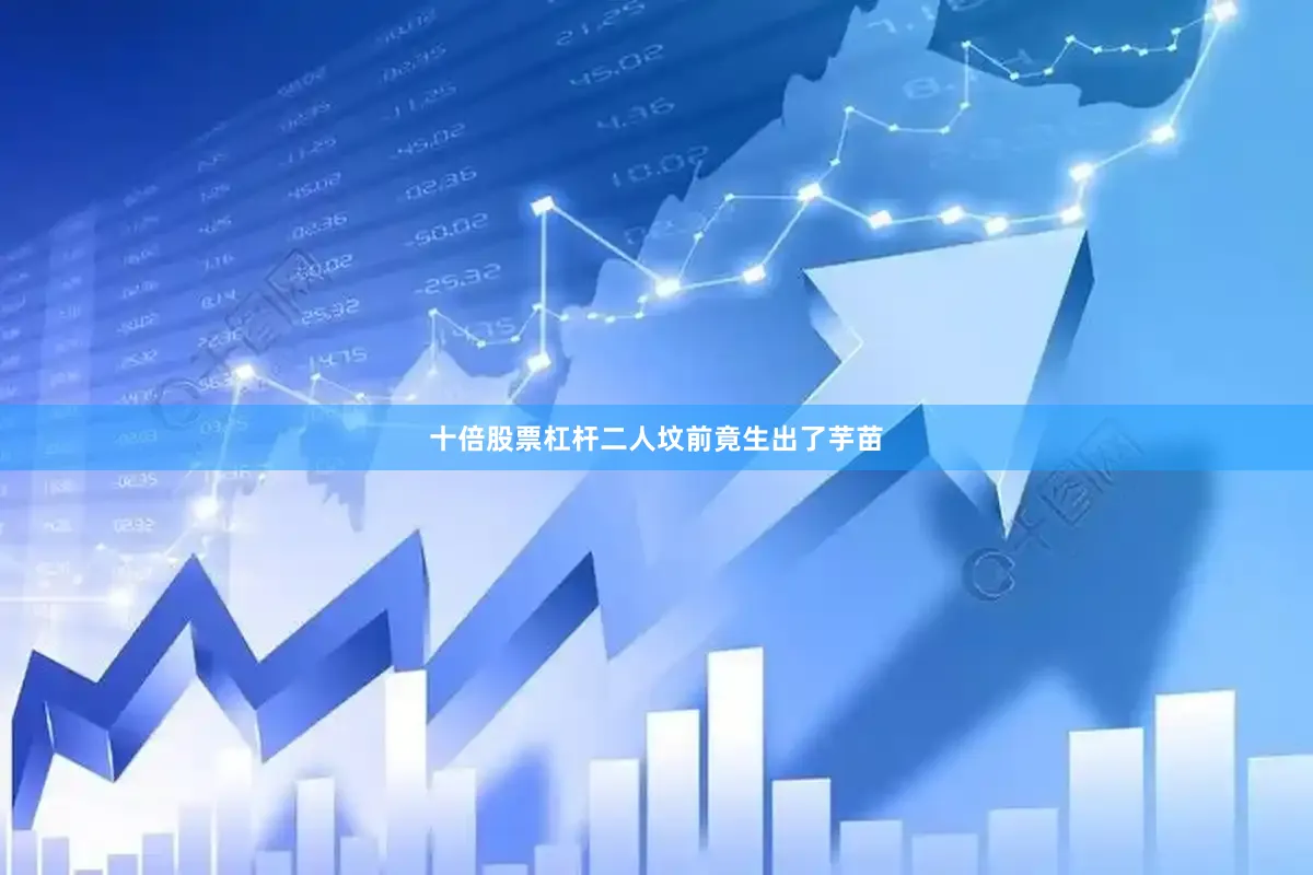 十倍股票杠杆二人坟前竟生出了芋苗