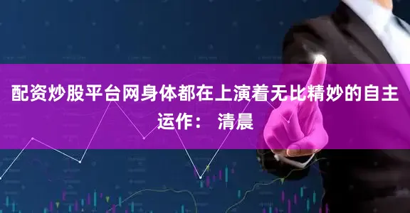 配资炒股平台网身体都在上演着无比精妙的自主运作： 清晨